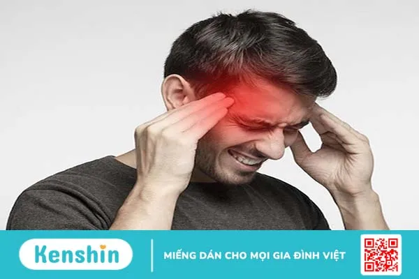 Cây chó đẻ răng cưa: Thảo dược quý mọc dại mang đến nhiều công dụng thần kỳ 2