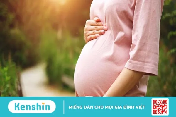 Cây chó đẻ răng cưa: Thảo dược quý mọc dại mang đến nhiều công dụng thần kỳ 3