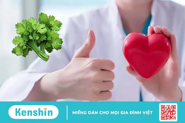 Cây mùi già có tác dụng gì? Vì sao phải tắm mùi già vào 30 Tết? 3