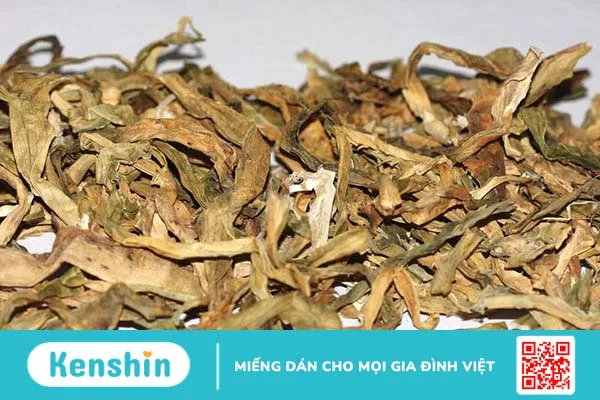 Cây trinh nữ hoàng cung và những công dụng tuyệt vời-2