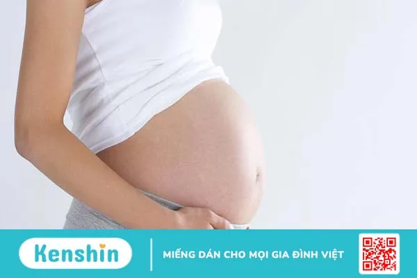 Cây xạ đen có mấy loại? Công dụng của cây xạ đen đối với sức khỏe 5