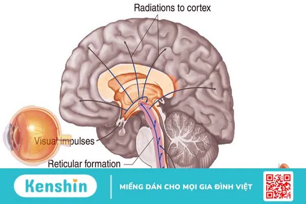 chan-doan-phan-biet-o-tre-li-bi-hon-me-hoac-co-giat 1