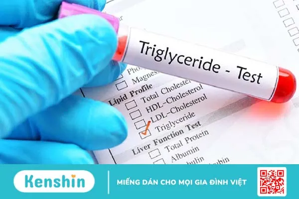 Nguyên nhân gây bệnh và phác đồ điều trị tăng triglyceride 2