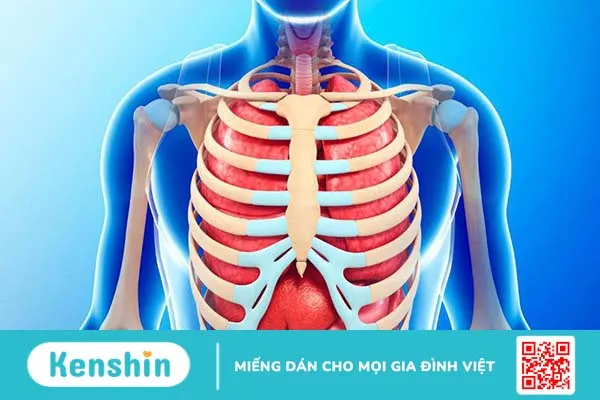 Chấn thương phần mềm xương sườn: Triệu chứng và cách điều trị 1