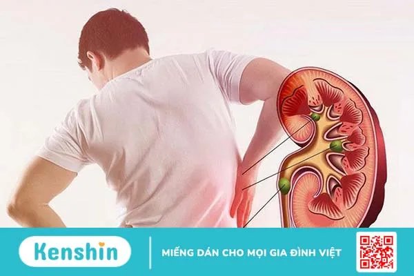 chi-so-e-gfr-thap-duoi-60-canh-bao-dieu-gi-1.webp