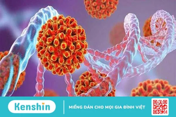 chi-so-hbv-dna-bao-nhieu-la-binh-thuong 1