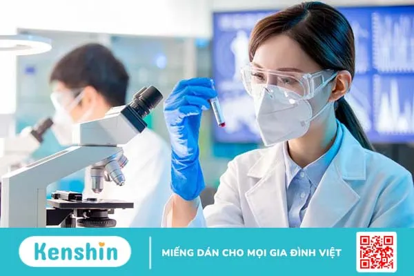 Chỉ số MCV và MCH thấp khi mang thai có sao không 2