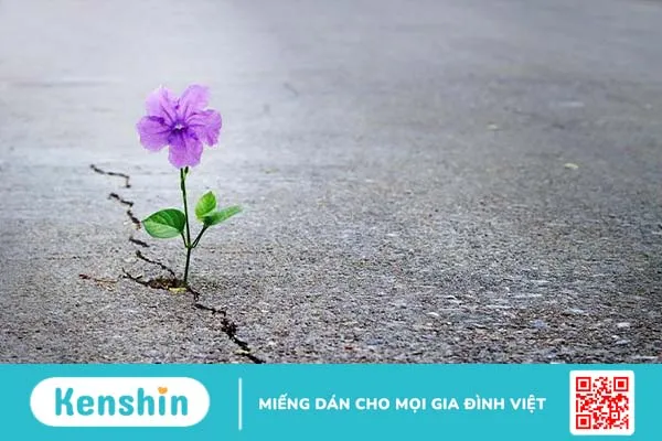 Chủ nghĩa khắc kỷ và những điều có thể bạn chưa biết 3