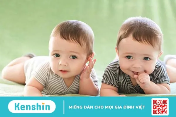 Có nên áp dụng thụ tinh ống nghiệm sinh đôi không 1