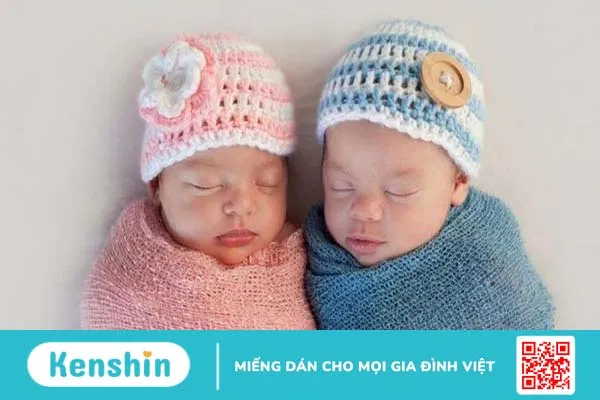 Có nên áp dụng thụ tinh ống nghiệm sinh đôi không 3