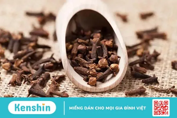 Có thể bạn chưa biết 10 đặc tính chữa bệnh tuyệt vời của đinh hương 1