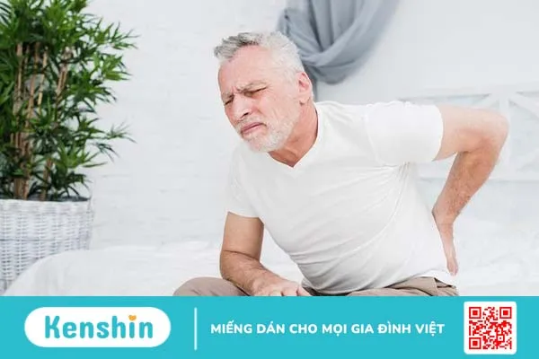 Khám phá con người có bao nhiêu đốt cột sống 3