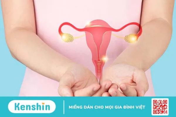 Cửa mình là gì? Một số thông tin bạn nên biết về cửa mình 2