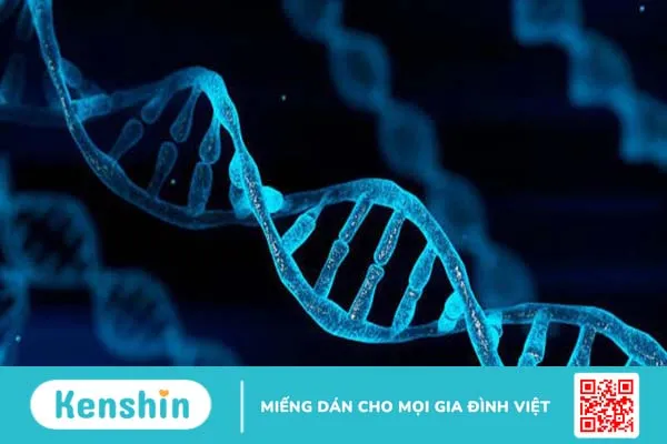 dac-diem-chung-cua-dna-va-rna-la-gi-co-su-khac-biet-nao-hay-khong 1