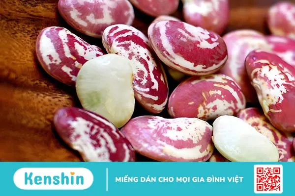 Đậu ngự mọc mầm ăn được không? Lưu ý cần biết 1