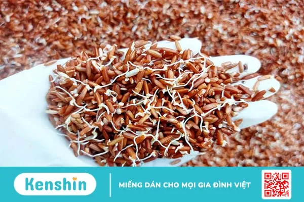 Đậu ngự mọc mầm ăn được không? Lưu ý cần biết 2