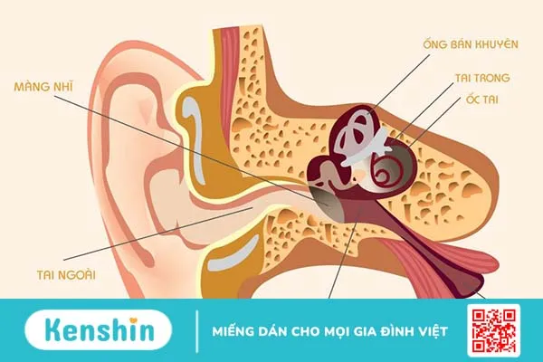 Đau trong tai khi nhai là dấu hiệu của bệnh gì? Đây có phải bệnh nguy hiểm? 1