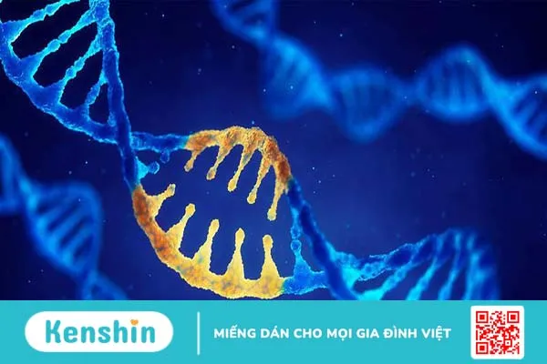 Dấu vân tay DNA là gì? 2