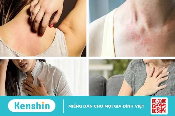 Dị ứng hạt Quinoa nguy hiểm không? Triệu chứng và cách điều trị