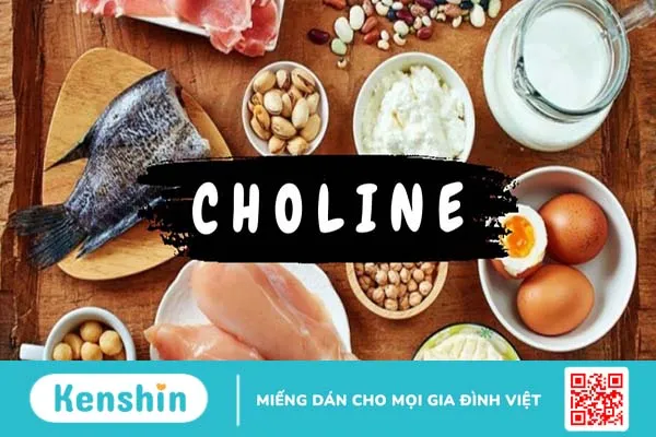 Điểm danh một số thực phẩm giàu Choline 1