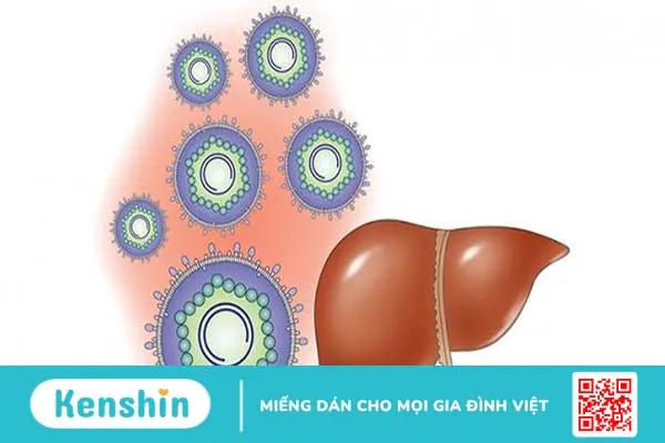 dinh-luong-hbv-dna-am-tinh-co-y-nghia-nhu-the-nao 1