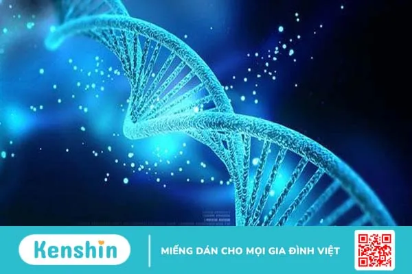 DNA không mã hóa là gì? 1