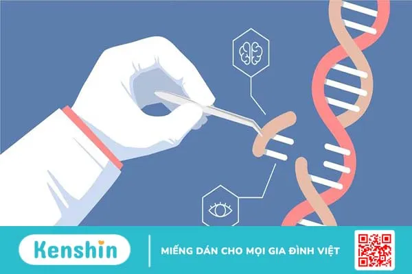 DNA không mã hóa là gì? 2