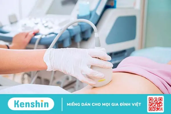 Độ echogen thận kém hơn gan là sao?