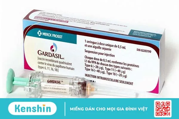 Độ tuổi nào nên tiêm HPV, 30 tuổi có nên tiêm HPV không? 3