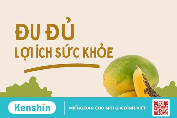 Đu đủ và lợi ích mà nó mang lại