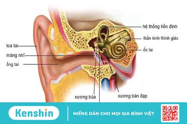 Đừng chủ quan nếu như bạn mắc phải hội chứng tiền đình trung ương 1