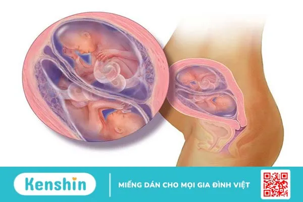 Đừng chủ quan trước những ảnh hưởng của tiêm thuốc rụng trứng đối với cơ thể 3