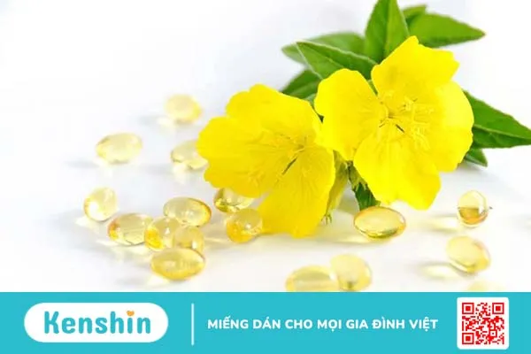 Giải đáp: Evening Primrose Oil là gì? Công dụng của tinh chất này như thế nào 1