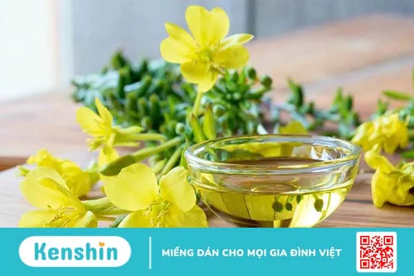 Giải đáp: Evening Primrose Oil là gì? Công dụng của tinh chất này như thế nào 2