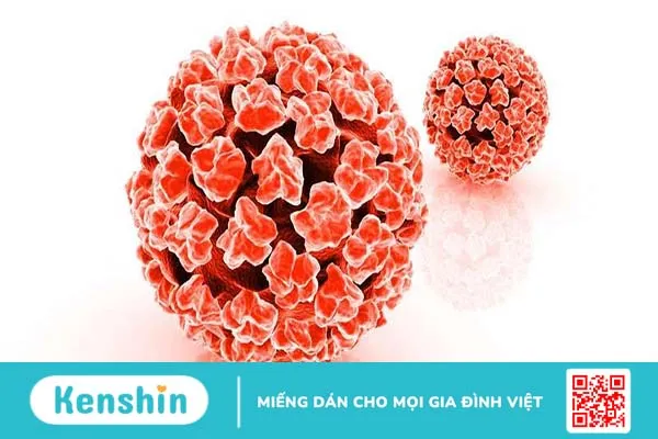 Giải đáp: Nam nữ bị nhiễm hpv có quan hệ được không?