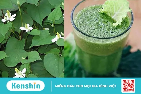 Người bị trĩ ở giai đoạn cấp độ 1 và 2 có thể sử dụng các bài thuốc dân gian để điều trị trĩ