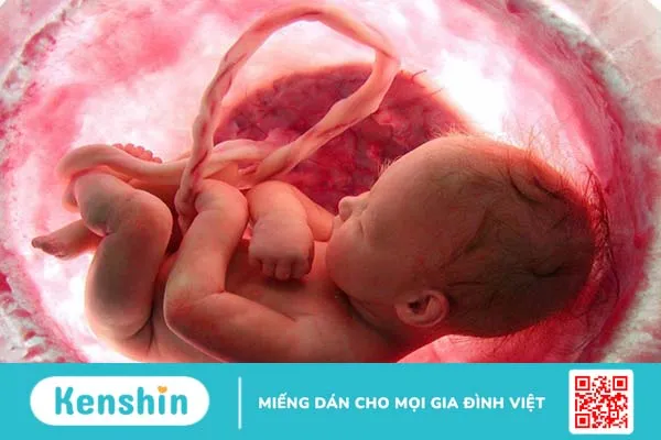 Giải đáp tiền sản giật có bị lại không 2