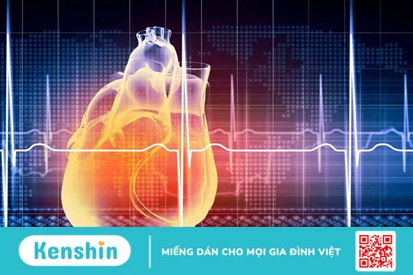 “Giải mã” về hệ thống đường dẫn truyền trong tim 1