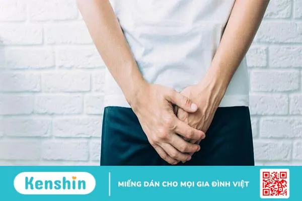 Giải phẫu dương vật và một số bệnh thường gặp ở dương vật của nam giới 3