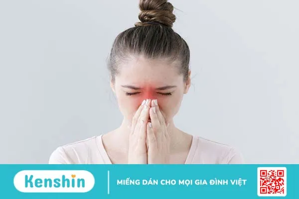 Giải phẫu mũi và các bệnh về mũi thường gặp 3