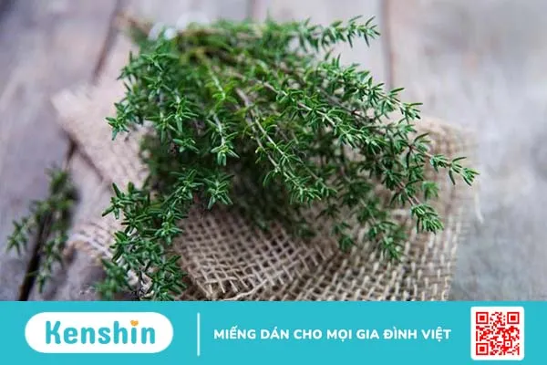 Giảm nhanh cơn đau răng với các nguyên liệu quen thuộc này! 3