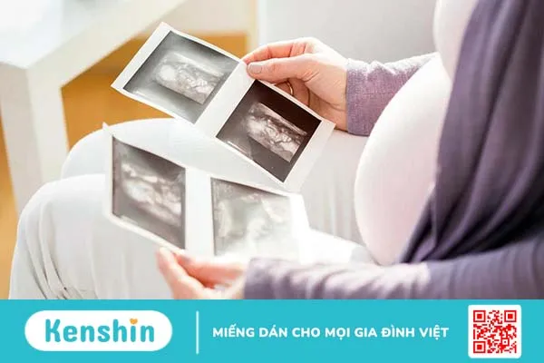 Giới tính thai nhi được hình thành ở thời điểm nào? Cách xác định giới tính thai nhi 1