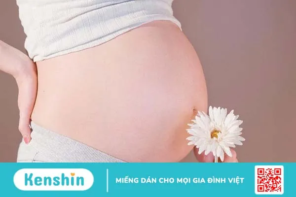 Giới tính thai nhi được hình thành ở thời điểm nào? Cách xác định giới tính thai nhi 2