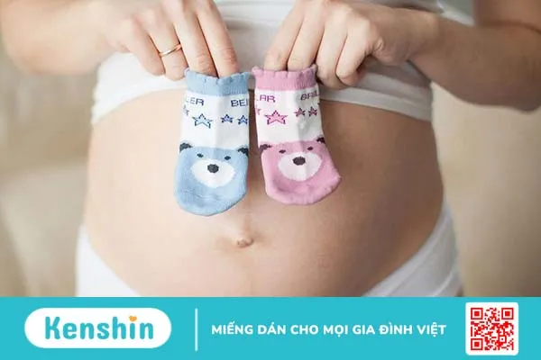 Giới tính thai nhi được hình thành ở thời điểm nào? Cách xác định giới tính thai nhi 3