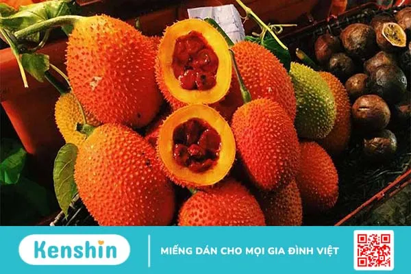 Góc giải đáp: Mẹo chữa bệnh trĩ bằng hạt gấc tại nhà như thế nào? 4