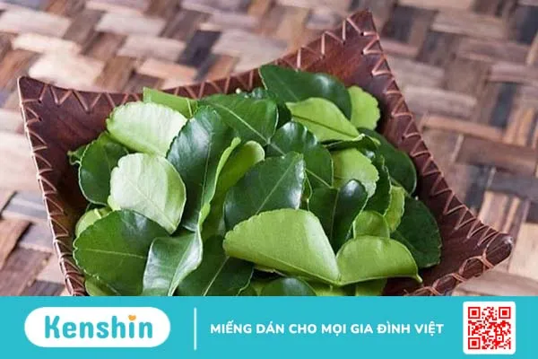 Gội đầu bằng lá bưởi có tác dụng gì? Gội sao cho đúng cách 2