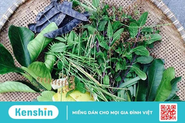 Gội đầu bằng lá bưởi có tác dụng gì? Gội sao cho đúng cách 3