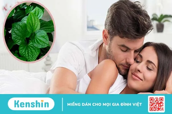 Gợi ý cách chữa yếu sinh lý bằng lá lốt cho phái mạnh 1