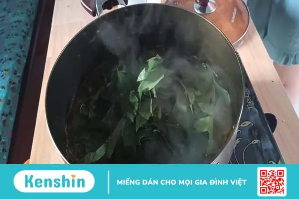 Gợi ý cách chữa yếu sinh lý bằng lá lốt cho phái mạnh 2