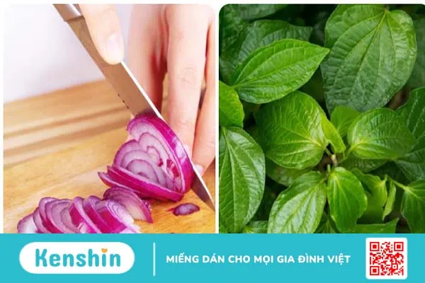 Gợi ý cách chữa yếu sinh lý bằng lá lốt cho phái mạnh 3